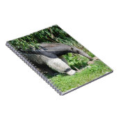 Giant Anteater-laptop Notitieboek (Rechterzijde)