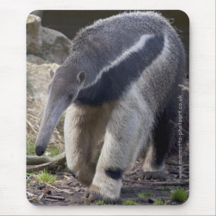 Giant Anteater Mousemat Muismat