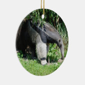 Giant Anteater Ornament (Rechts)