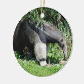 Giant Anteater Ornament (Links)
