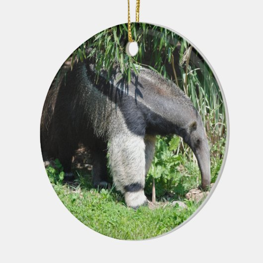 Giant Anteater Ornament (Links)