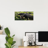Giant Anteater Poster Print (Thuiskantoor)