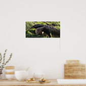 Giant Anteater Poster Print (Keuken)