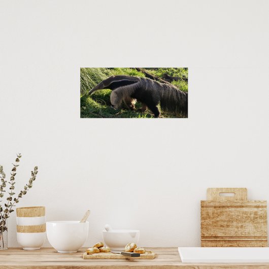 Giant Anteater Poster Print (Keuken)