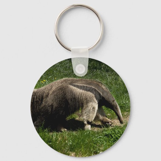 Giant Anteater Sleutelhanger (Voorkant)