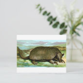 Giant Armadillo Briefkaart (Staand voorkant)