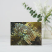 Giant Australian Cuttlefish Briefkaart (Staand voorkant)