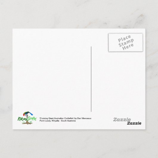 Giant Australian Cuttlefish Briefkaart (Achterkant)