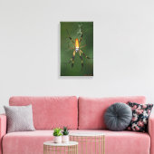 Giant Banana Spider canvas Afdruk (Insitu (Woonkamer))
