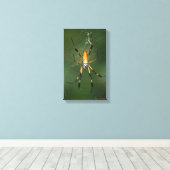 Giant Banana Spider canvas Afdruk (Insitu (Houten vloer))