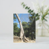 Giant Banyan Tree ... Ta Prohm Temple, Cambodja Briefkaart (Staand voorkant)