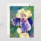 Giant Bearded Iris Briefkaart (Voorkant / Achterkant)