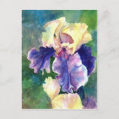 Giant Bearded Iris Briefkaart (Voorkant)