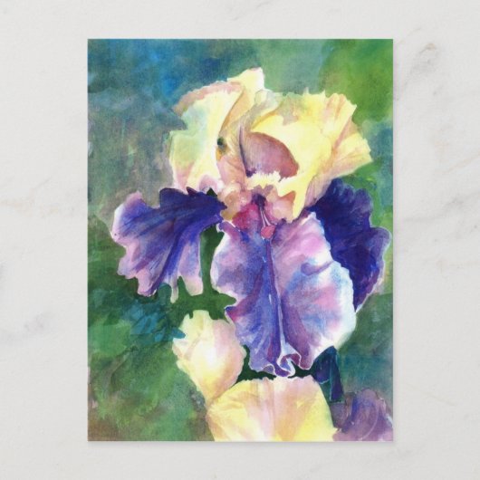 Giant Bearded Iris Briefkaart (Voorkant)