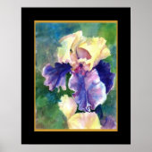 Giant Bearded Iris Poster (Voorkant)