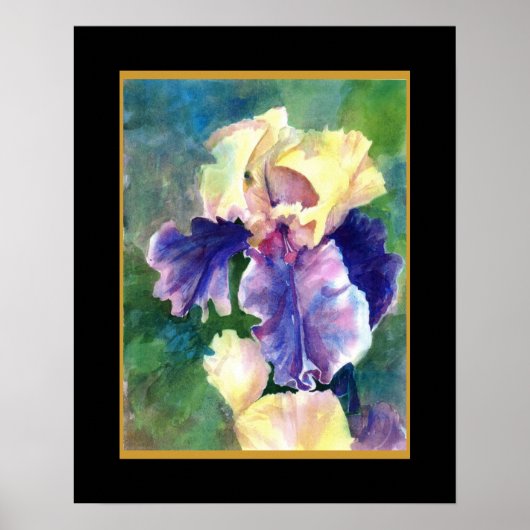 Giant Bearded Iris Poster (Voorkant)