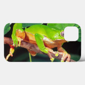 Giant Bicolor Monkey Treefrog, Phyllomedusa Case-Mate iPhone Case (Achterkant (horizontaal))