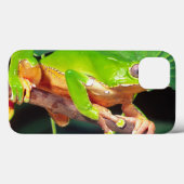 Giant Bicolor Monkey Treefrog, Phyllomedusa Case-Mate iPhone Case (Achterkant (horizontaal))