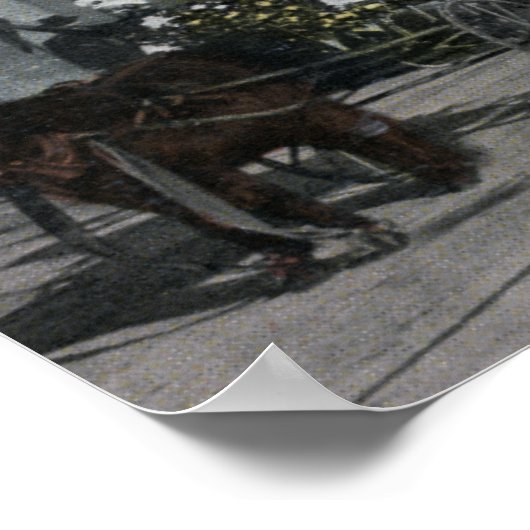 Giant Bked Potatoe Float Scene Poster (Hoek)