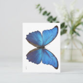 Giant Blue Morpho Butterfly Briefkaart (Staand voorkant)