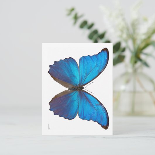 Giant Blue Morpho Butterfly Briefkaart (Staand voorkant)