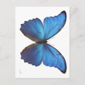 Giant Blue Morpho Butterfly Briefkaart (Voorkant)