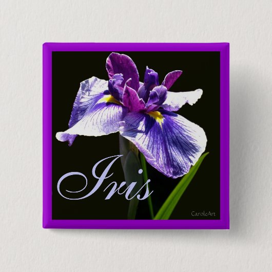 Giant Blue Paars Iris Vierkante Button 5,1 Cm (Voorkant)