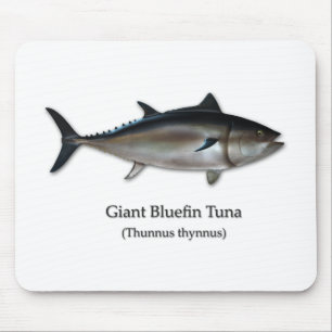 Giant Bluefin Tuna Muismat