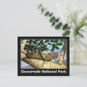 Giant Brown Cricket, Nationaal Park Corcovado Briefkaart (Staand voorkant)