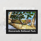 Giant Brown Cricket, Nationaal Park Corcovado Briefkaart (Voorkant / Achterkant)