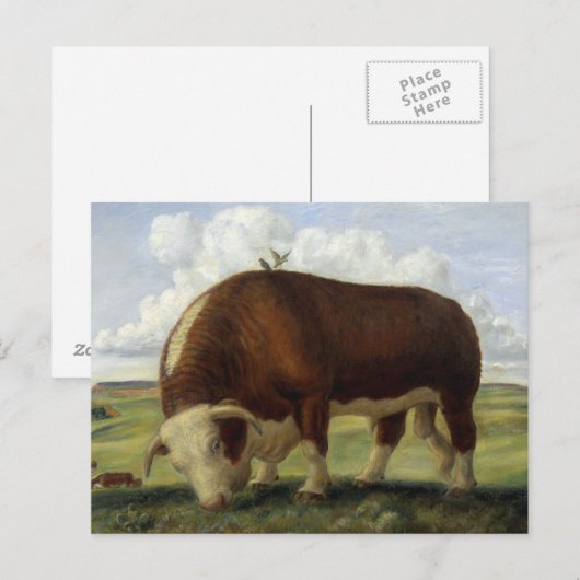 Giant Bull Briefkaart (Voorkant / Achterkant)
