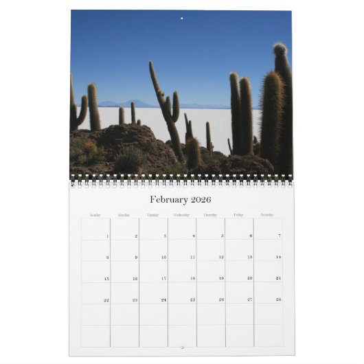 Giant Cactus 2025 Kalender (Feb 2026)