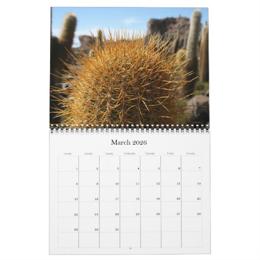 Giant Cactus 2025 Kalender (Mar 2026)