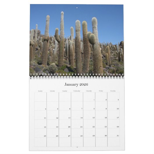Giant Cactus 2025 Kalender (Jan 2026)