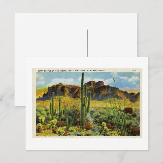 Giant Cactus in het Briefkaart van de woestijn (Voorkant / Achterkant)