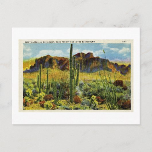 Giant Cactus in het  Briefkaart van de woestijn (Voorkant)