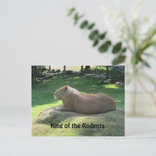 Giant Capybara Briefkaart (Staand voorkant)