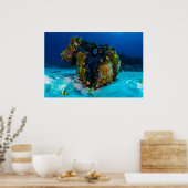 Giant Clam on the Great Barrier Reef Poster (Keuken)