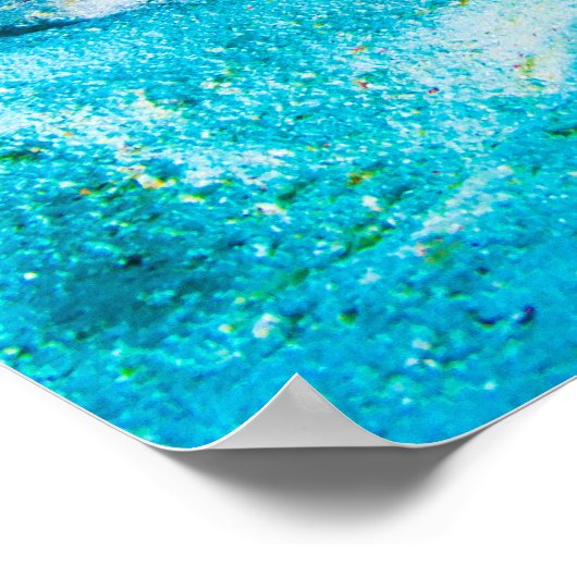 Giant Clam on the Great Barrier Reef Poster (Hoek)