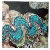 Giant Clam Tile Tegeltje (Voorkant)