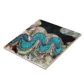 Giant Clam Tile Tegeltje (Zijkant)