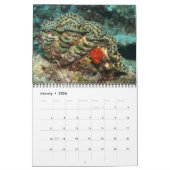 Giant Clams Wall Calendar 2 van James W. Fatherree Kalender (Jan 2026)
