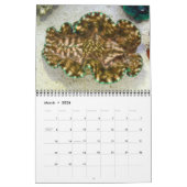 Giant Clams Wall Calendar 2 van James W. Fatherree Kalender (Mar 2026)