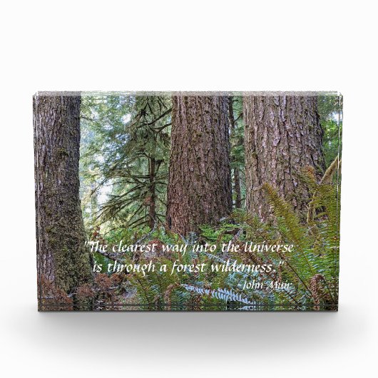 Giant Conifer Forest met John Muir Quote Fotoblokken (Voorkant)