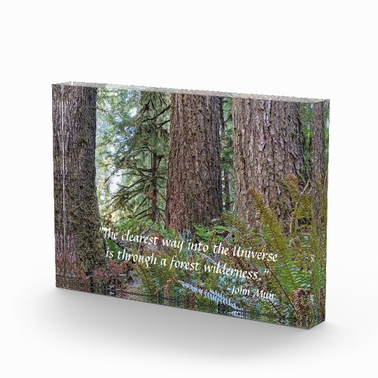 Giant Conifer Forest met John Muir Quote Fotoblokken (Rechts)