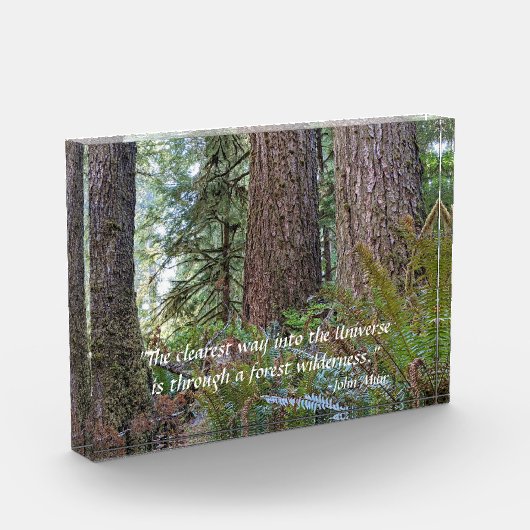 Giant Conifer Forest met John Muir Quote Fotoblokken (Links)