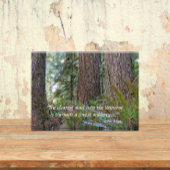 Giant Conifer Forest met John Muir Quote Fotoblokken