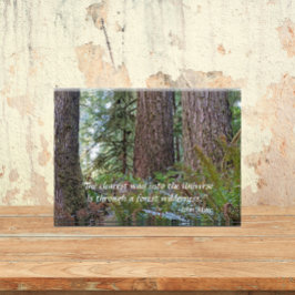 Giant Conifer Forest met John Muir Quote Fotoblokken