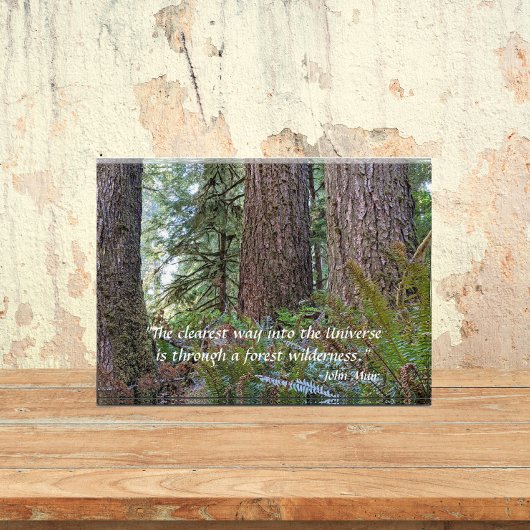 Giant Conifer Forest met John Muir Quote Fotoblokken