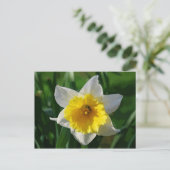 Giant Daffodil Briefkaart (Staand voorkant)